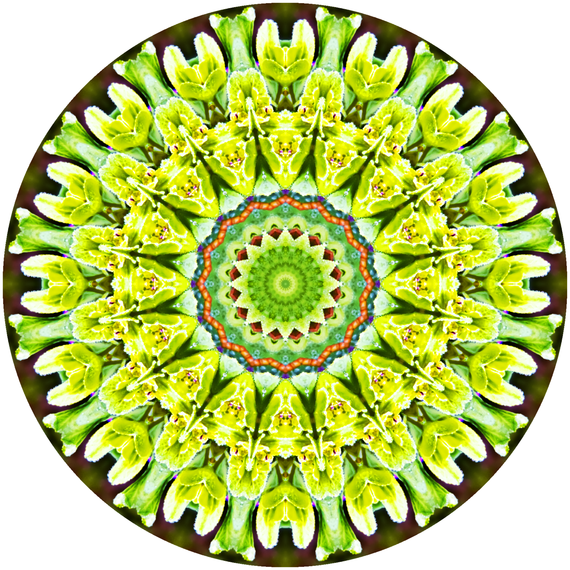 https://paralarry.com/storage/2022/07/mandala-gddb9e942b_1920.png